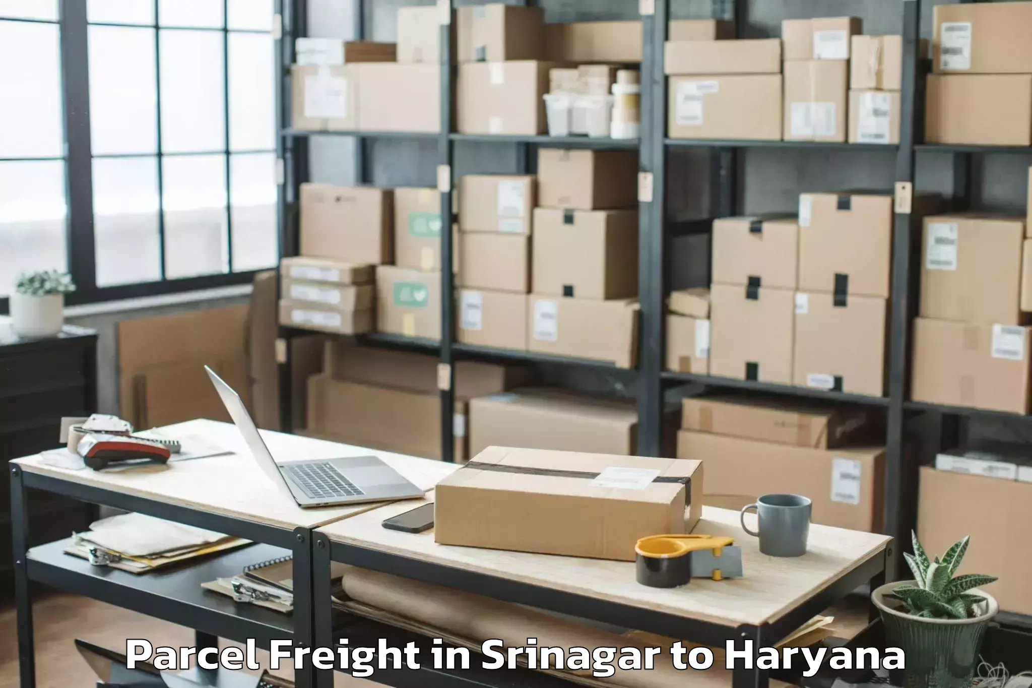 Discover Srinagar to Jagadhri Parcel Freight